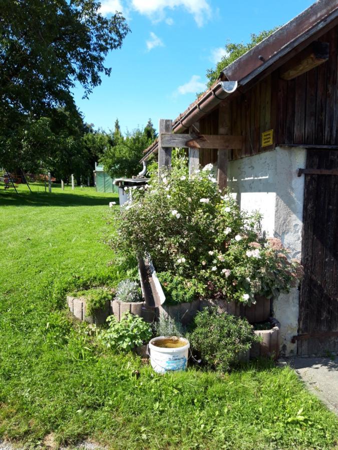 Ferienwohnung Im Seidlerhof Mit Balkon Und Garten Röhrnbach Eksteriør billede