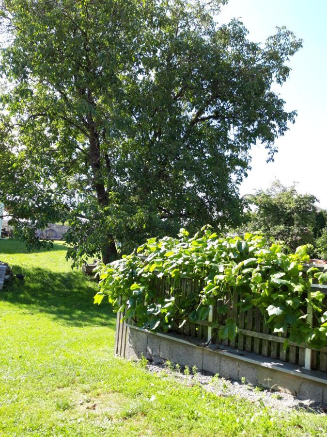 Ferienwohnung Im Seidlerhof Mit Balkon Und Garten Röhrnbach Eksteriør billede