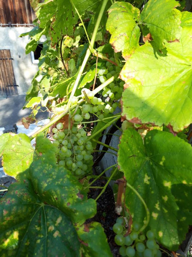 Ferienwohnung Im Seidlerhof Mit Balkon Und Garten Röhrnbach Eksteriør billede