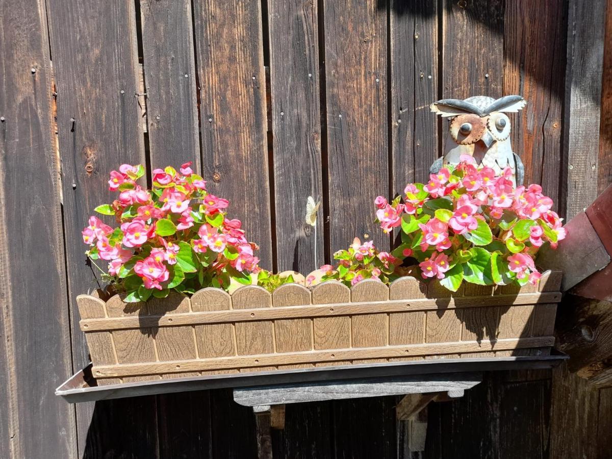 Ferienwohnung Im Seidlerhof Mit Balkon Und Garten Röhrnbach Eksteriør billede