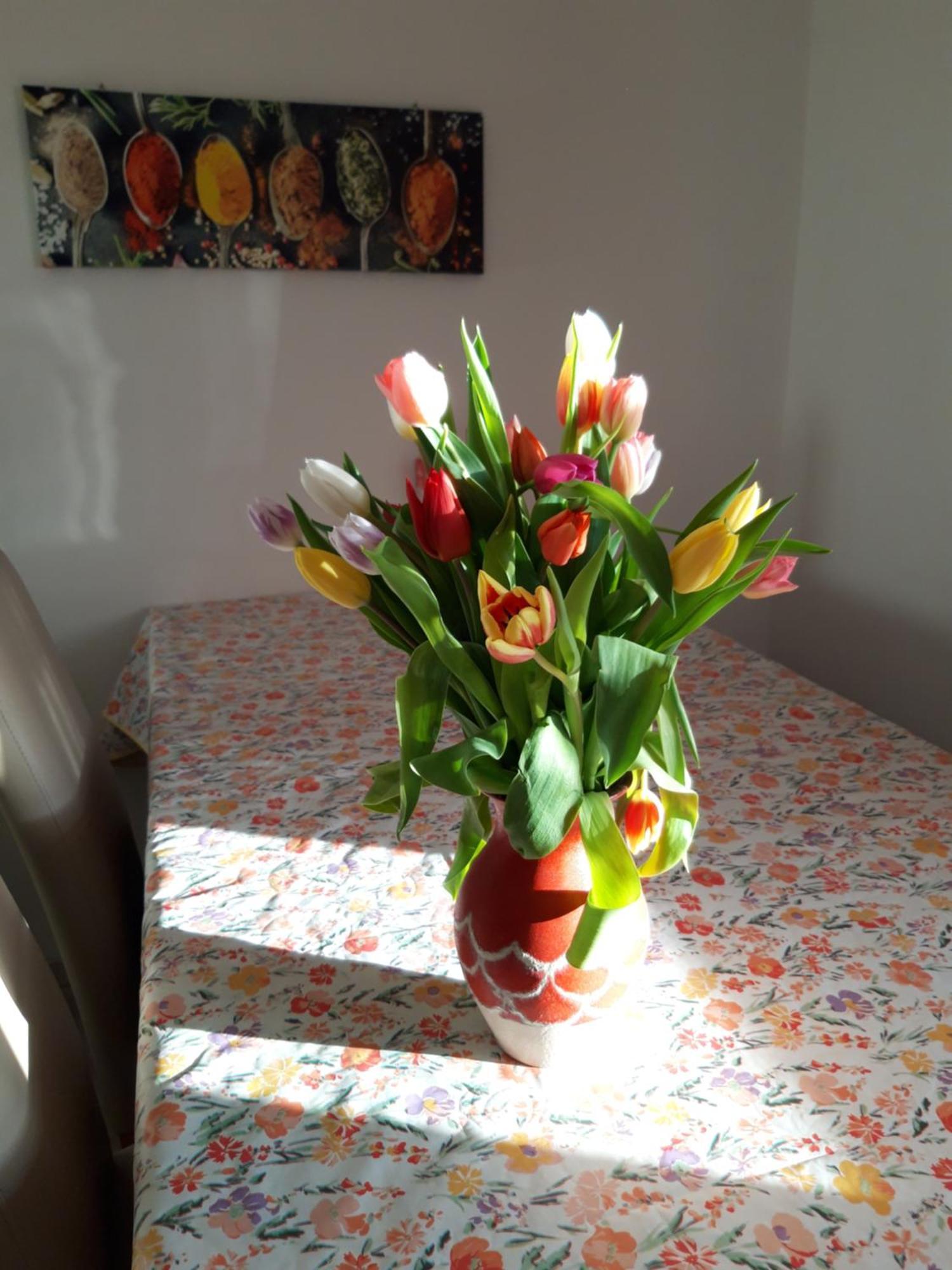 Ferienwohnung Im Seidlerhof Mit Balkon Und Garten Röhrnbach Eksteriør billede